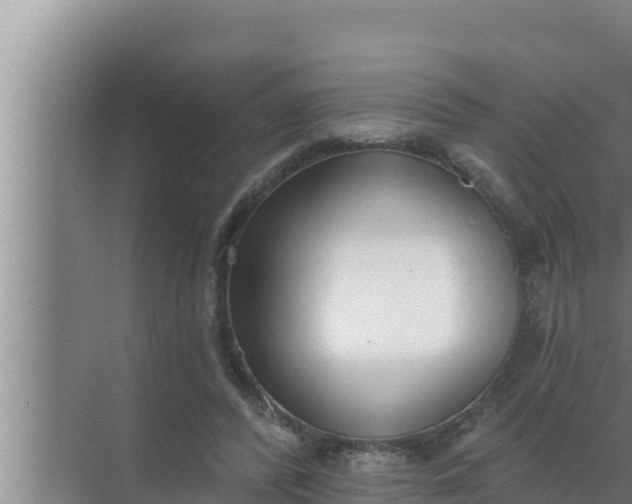 X0000072490400200607290045