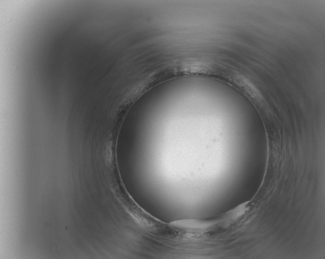 X0000072490401200607290045