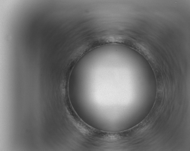 X0000072490402200607290045