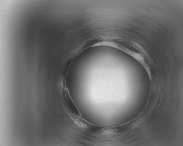 X0000072490405200607290045