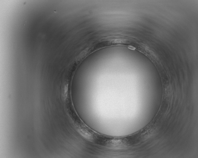 X0000072490406200607290045