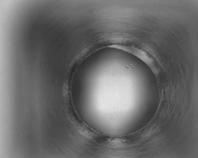 X0000072490407200607290045