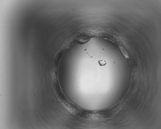 X0000072490408200607290045