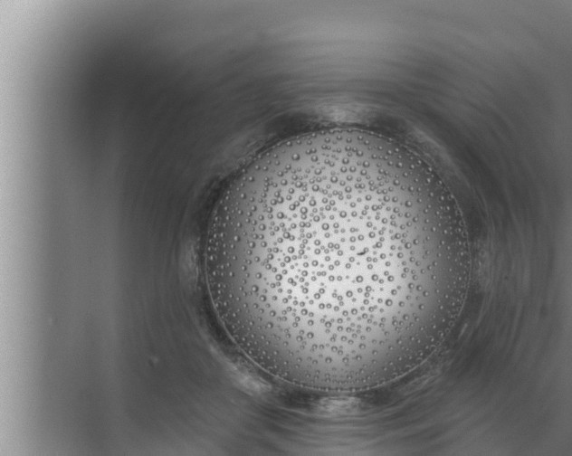 X0000072490410200607290045