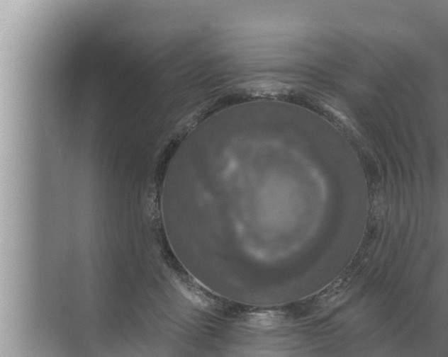 X0000072490411200607290045