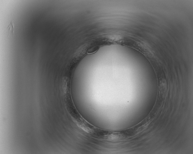 X0000072490412200607290045