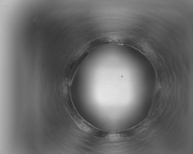 X0000072490413200607290045