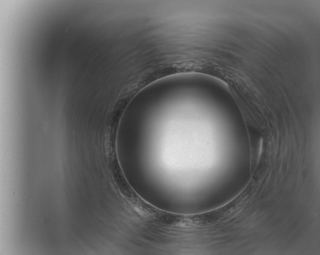 X0000072490416200607290045