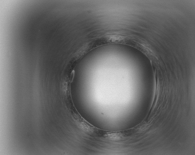 X0000072490417200607290045