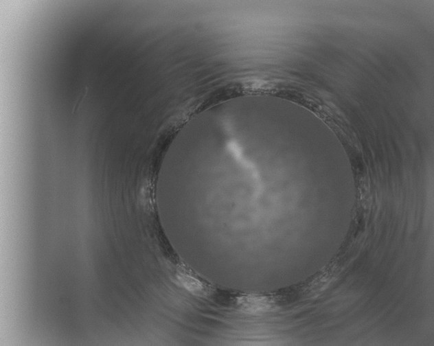 X0000072490419200607290045