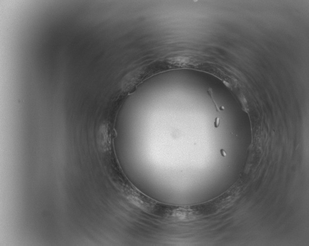 X0000072490420200607290045