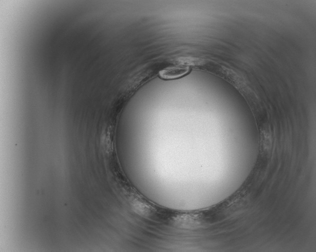 X0000072490422200607290045