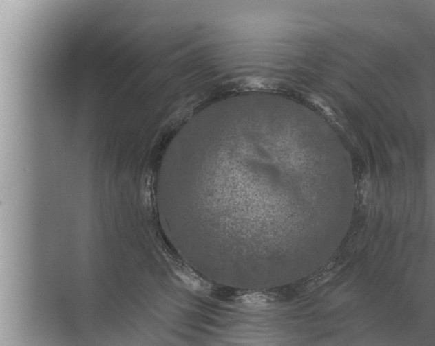 X0000072490423200607290045