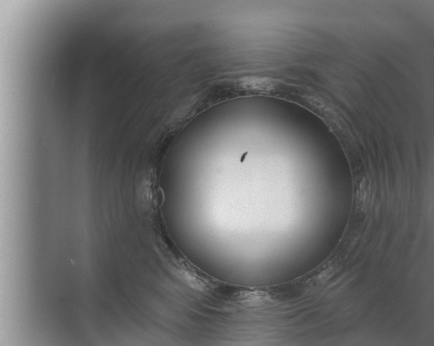 X0000072490424200607290044