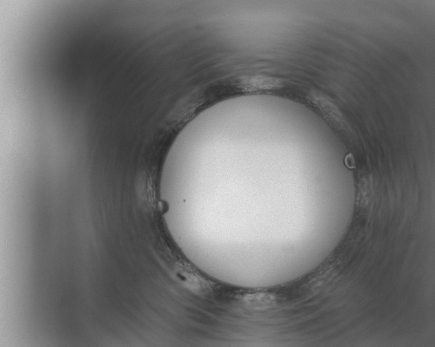 X0000072490426200607290044