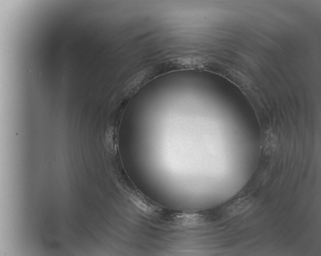 X0000072490428200607290044