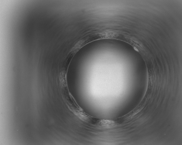 X0000072490429200607290044