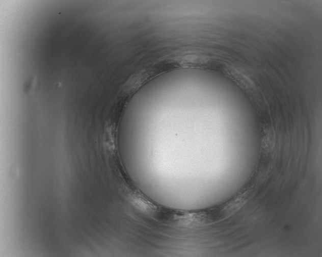 X0000072490430200607290044