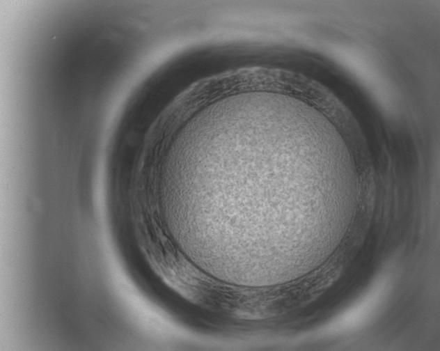 X0000072490431200607290044