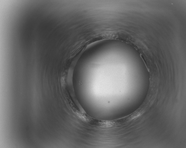 X0000072490432200607290044