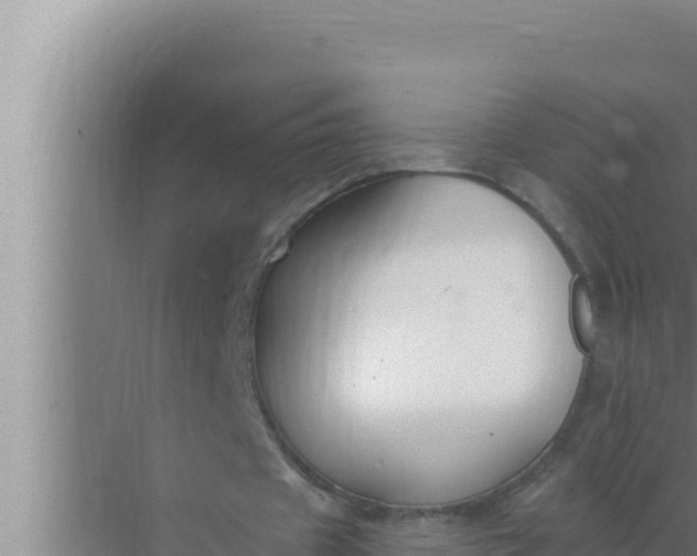 X0000072490433200607290044