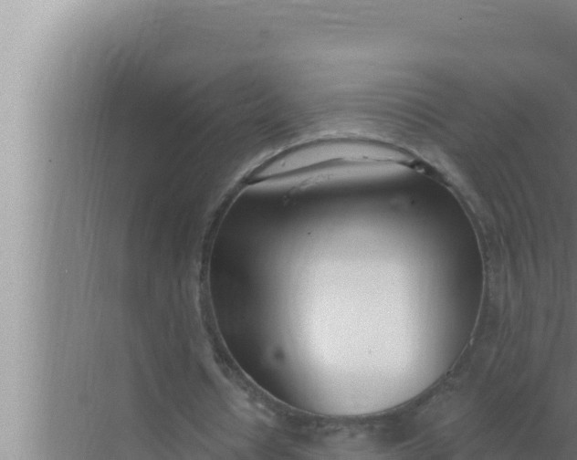 X0000072490434200607290044