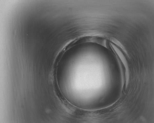 X0000072490436200607290044