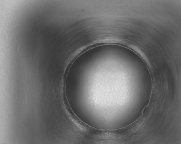 X0000072490437200607290044