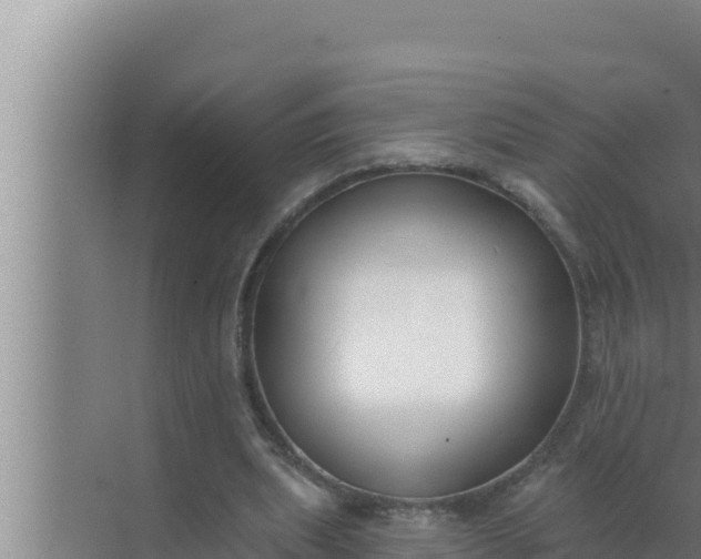 X0000072490439200607290044