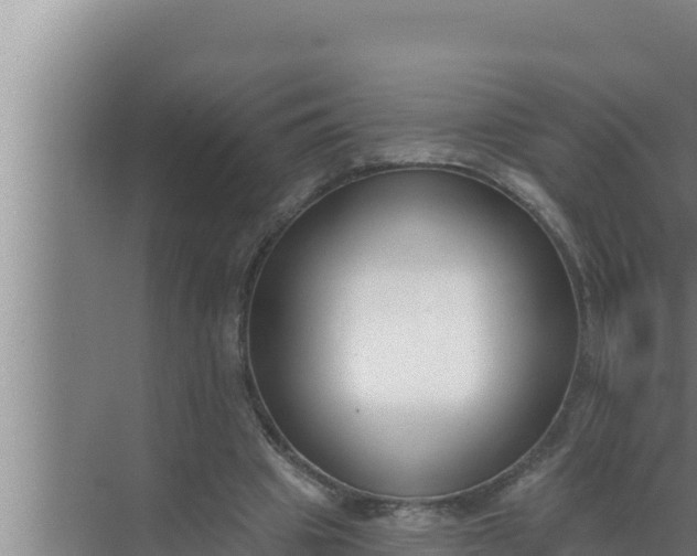 X0000072490441200607290044