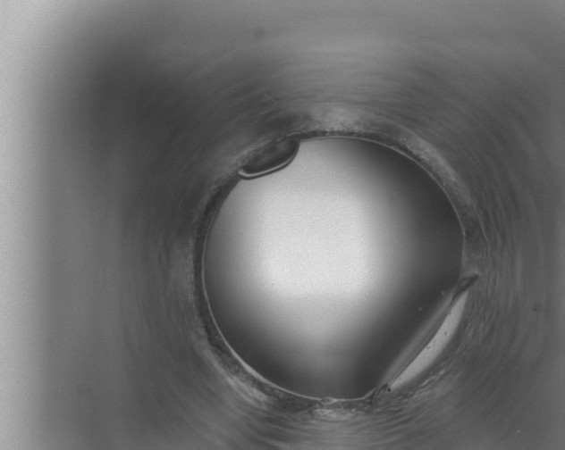 X0000072490442200607290044