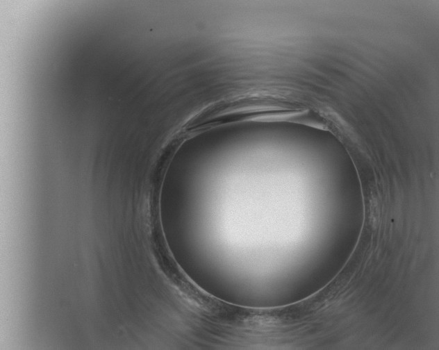 X0000072490444200607290044