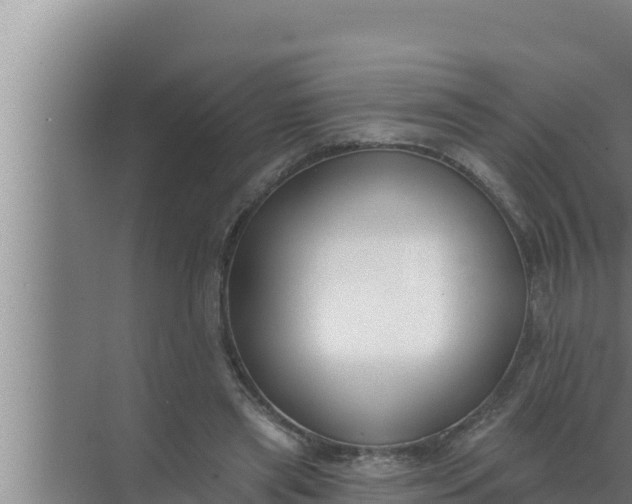 X0000072490445200607290044