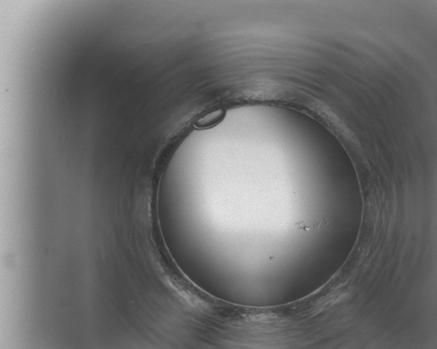 X0000072490446200607290044