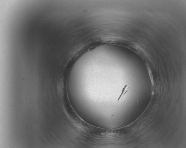 X0000072490448200607290044