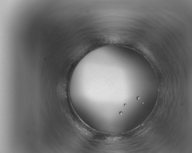 X0000072490450200607290044