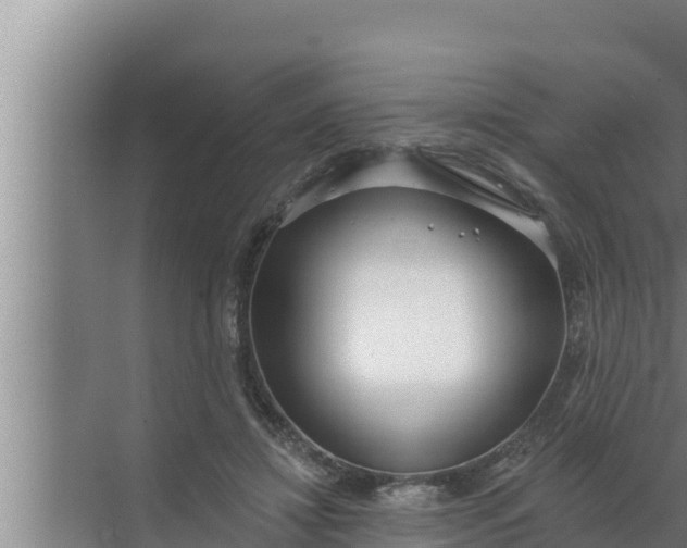 X0000072490452200607290044