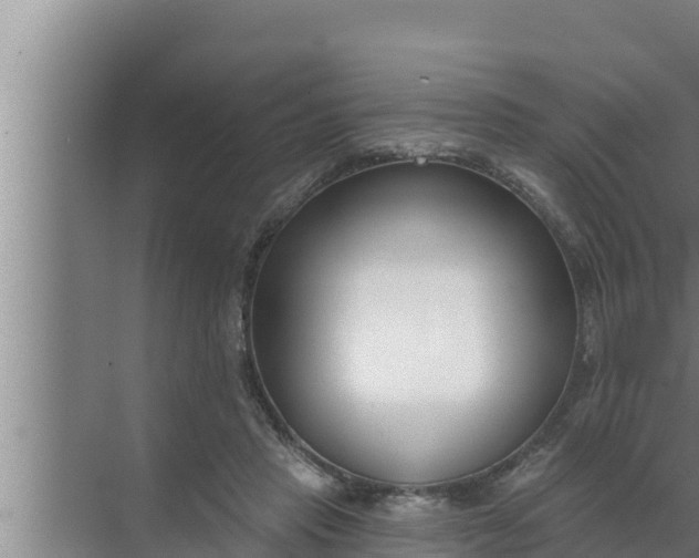 X0000072490453200607290044