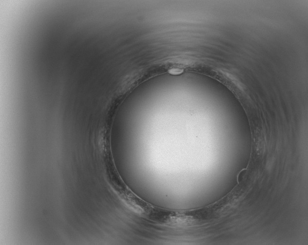 X0000072490455200607290044