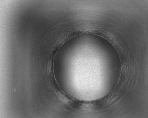 X0000072490458200607290044