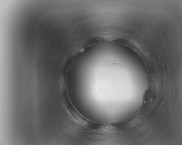 X0000072490459200607290044