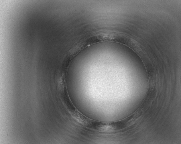 X0000072490460200607290044