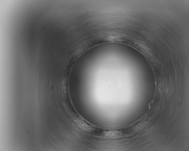 X0000072490461200607290044