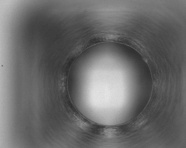 X0000072490462200607290044