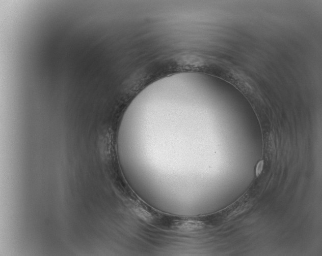 X0000072490463200607290044