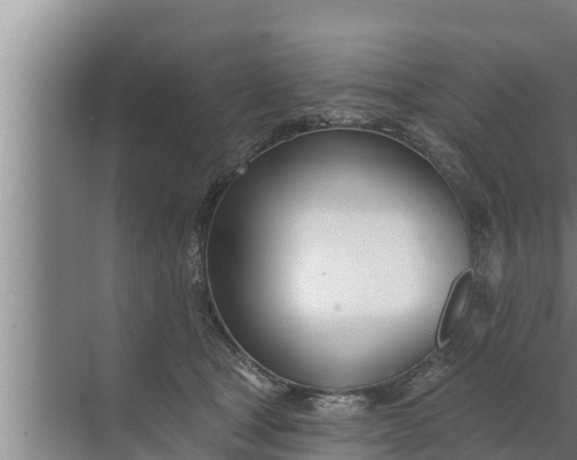 X0000072490465200607290044