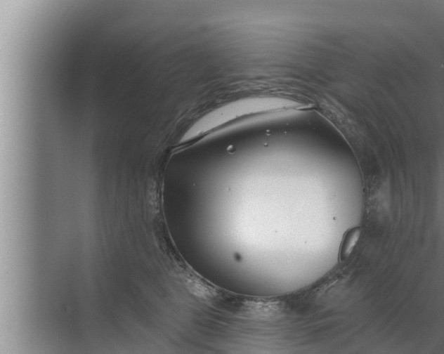 X0000072490469200607290044