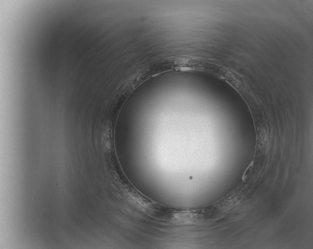 X0000072490470200607290044