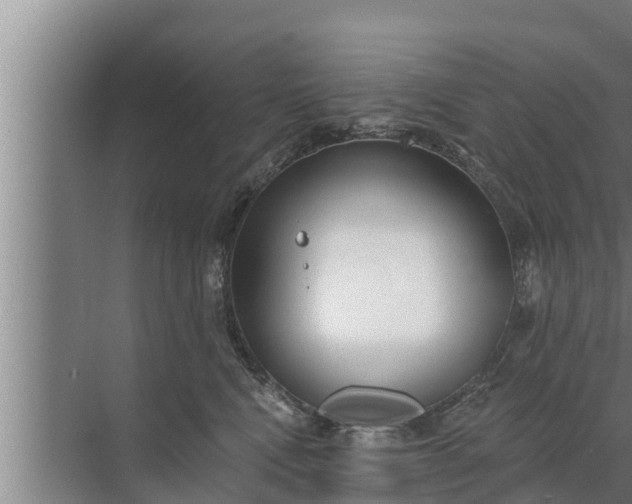 X0000072490472200607290044