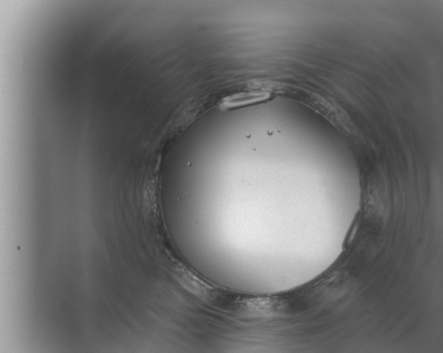 X0000072490473200607290044